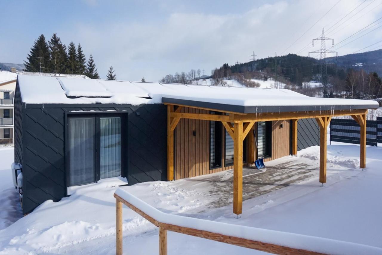 Chalet Stuhleckblick-Ferienhaus Direkt An Der Piste Und Mit Eigener Sauna Шпиталь-ам-Земмеринг Экстерьер фото